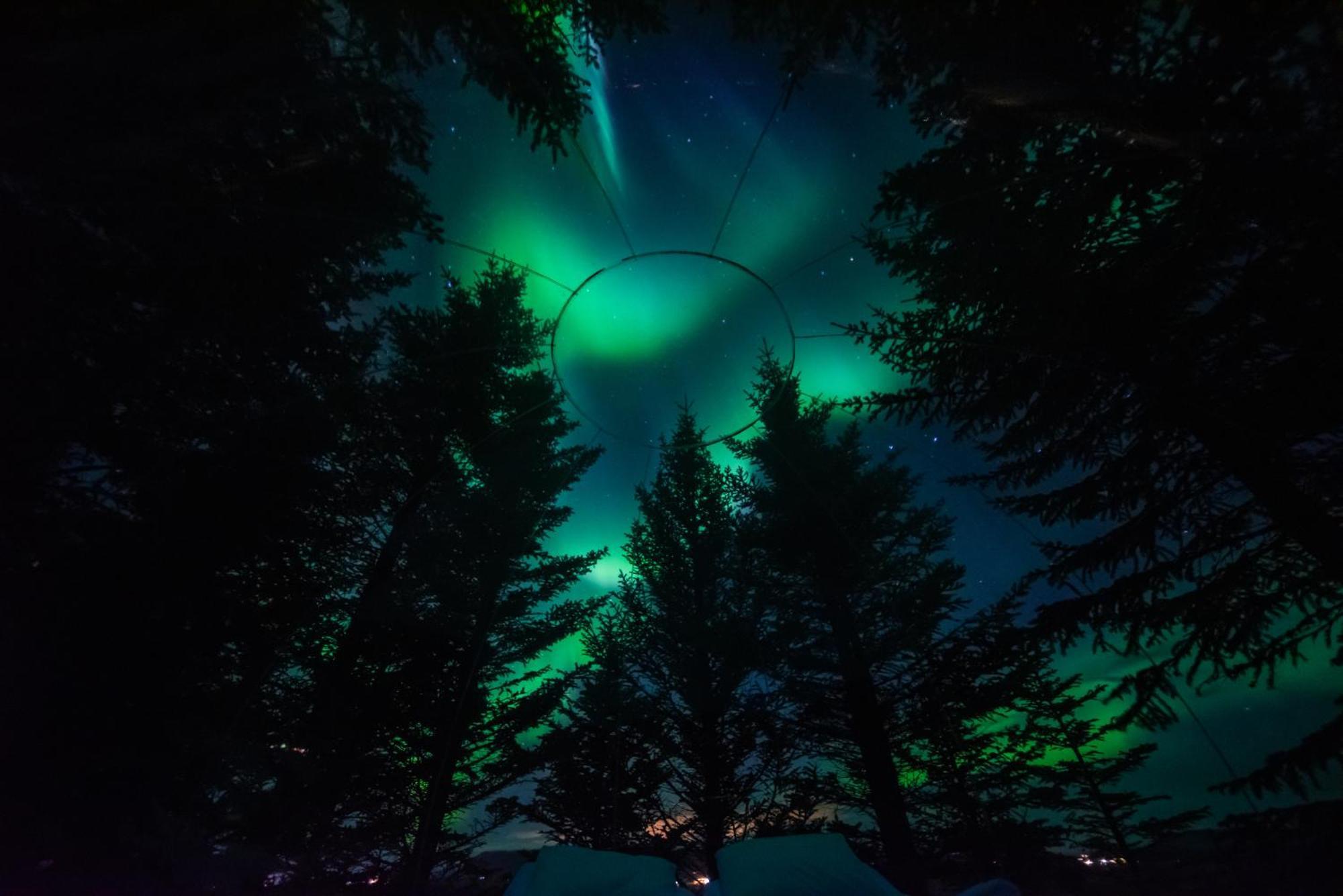 Buubble Hotel - Oelvisholt Selfoss Esterno foto